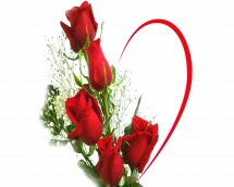 5 red roses bouquet