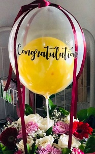 Congratulations printed on a transparent balloon with a single yellow balloon stuffed inside and tied with red ribbon to a basket with 6 white roses 4 pink carnations and 2 red gerberas