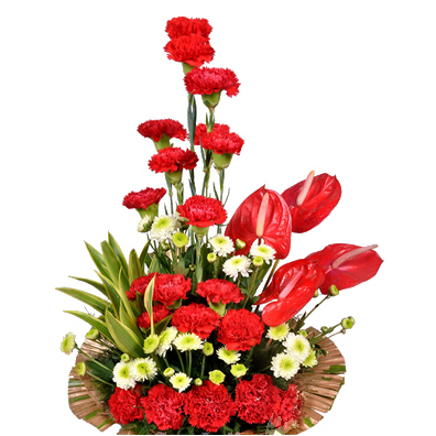 Anthuriums and carnation in 2 feet