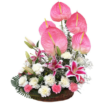 Two Dozen White Carnations and anthuriums in a Basket