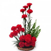 20 Red Carnations basket