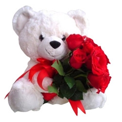 12 Inches white Teddy with 6 red roses Bunch