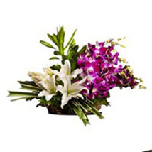 2 White Lilies and 6 purple orchids basket