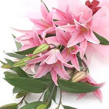 Pink Lilies bouquet