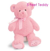 5 Feet Pink Teddy bear