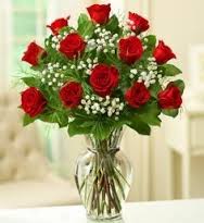 12 Red Roses in a Vase