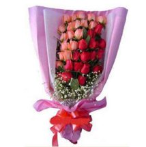 24 Pink and Red Roses Bunch