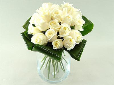 18 White Roses